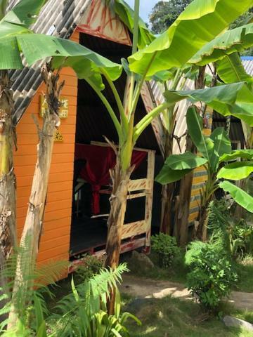 Beach Shack Chalet - Garden View Aframe Small Unit Kampong Juara Экстерьер фото